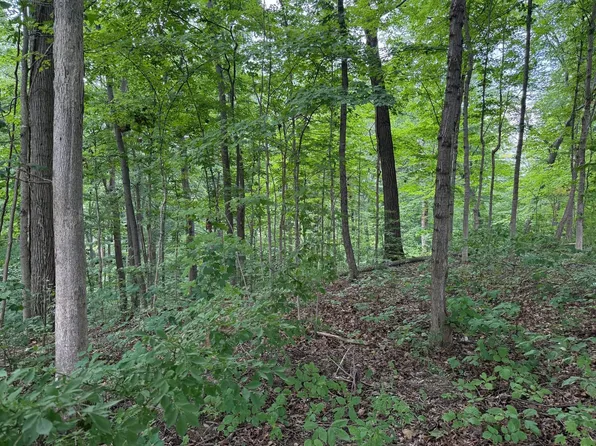 10717 Boat Dock Rd, Poland, IN 47868