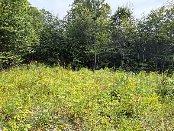4th image of Lot 60&116 Plaisted Road