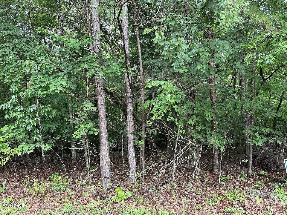2nd image of 26 & 28 Ivydale Ln #8 & 9