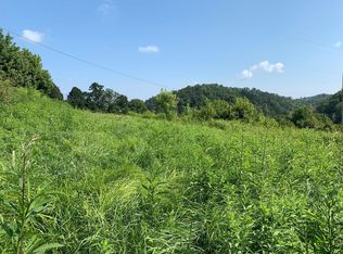 1334 Piney Flats Rd, Watauga, TN 37694