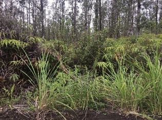 Road 4, Mountain View, HI 96771