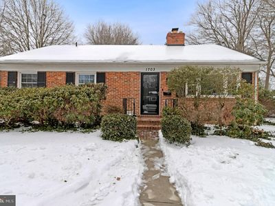 1703 Trenton Dr, Alexandria, VA, 22308