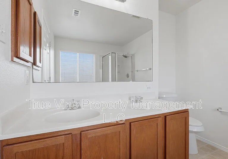 136 Texas Mulberry — Photo 16