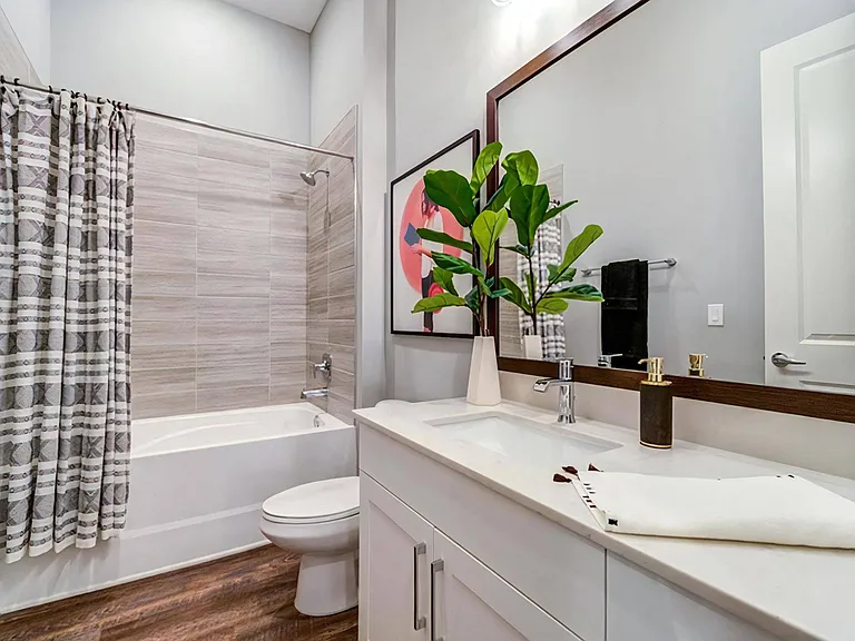 Upgraded Bathroom with Shower-Tub Combo, Wood-Style Floors, and Framed Mirror