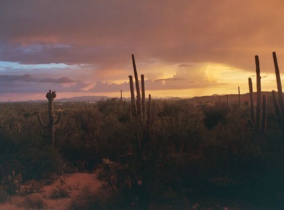 Sunset Monsoon Views