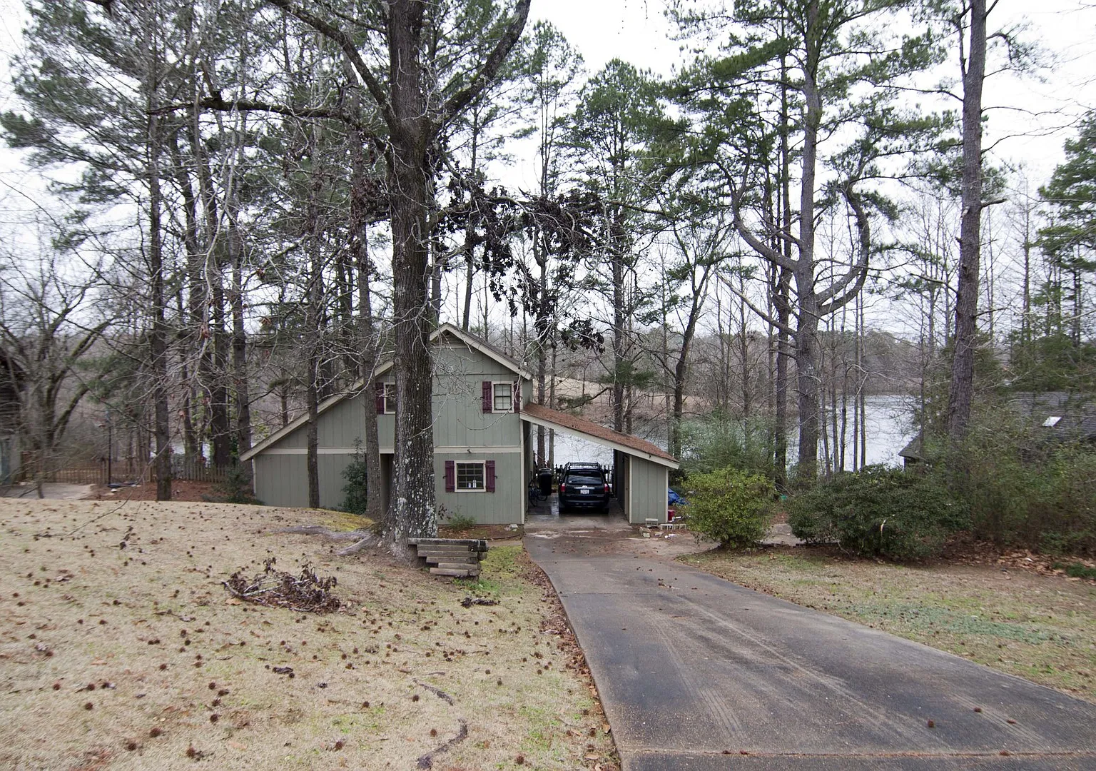 Whippoorwill — Photo 3