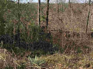 1175 Cherry Blossom Ln, Talbott, TN 37877