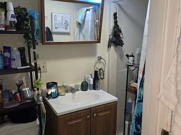 14 Hoyt Ln #14B — Photo 7