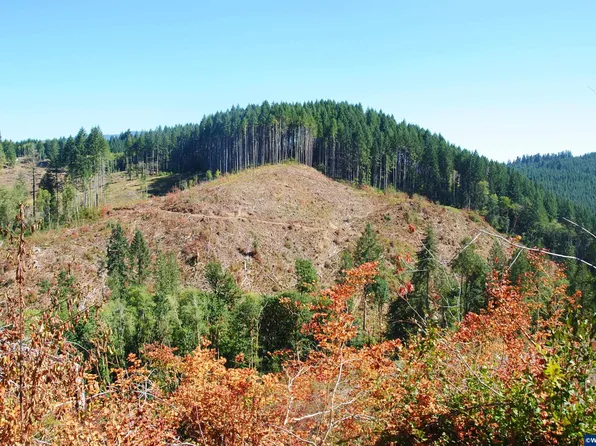 0 Van Horn Rd, Alsea, OR 97324