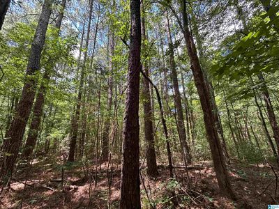 0 County Road 42, Oneonta, AL, 35121