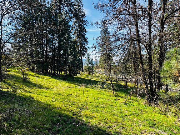 2nd image of 1390 Lookout Point Way