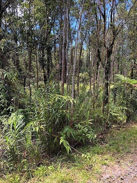 2nd image of Ala Kapena Lot 38