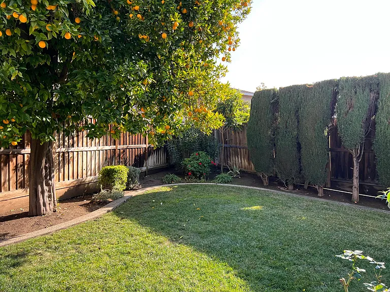 3792 Thousand Oaks Dr — Photo 10