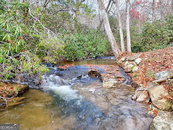 7829 Dillard Rd, Scaly Mountain, NC 28775