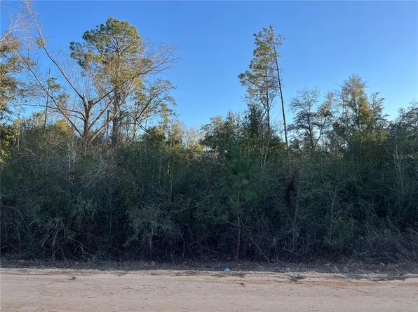 Deer Run Cir Lot 4, Alford, FL 32420