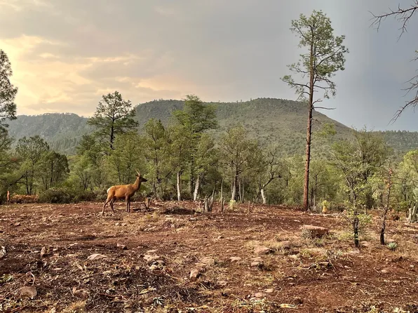 3496 N Mistletoe Dr, Pine, AZ 85544