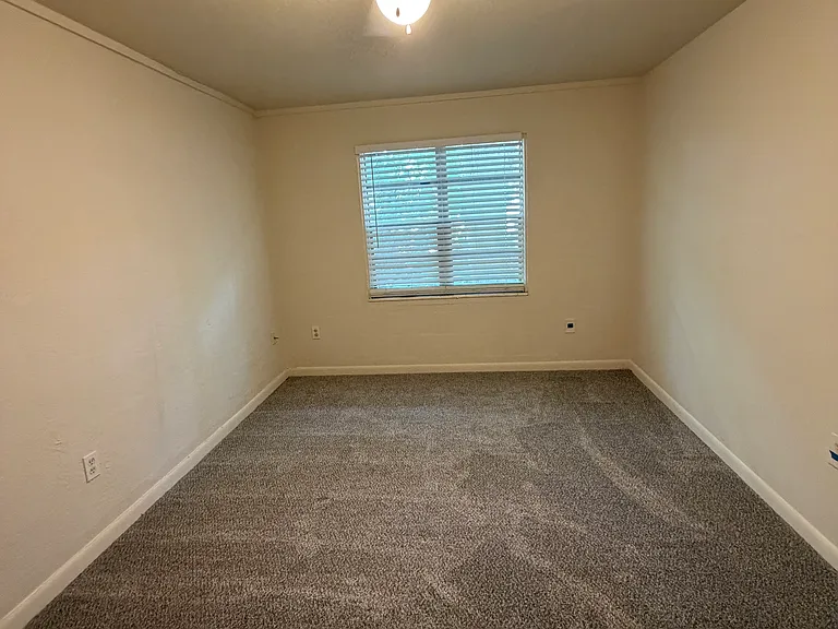 Fresh New Carpet. Bedroom #1