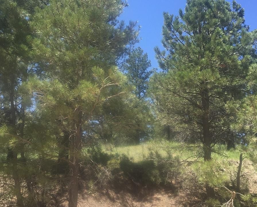 2nd image of 22858 Amethyst Rd