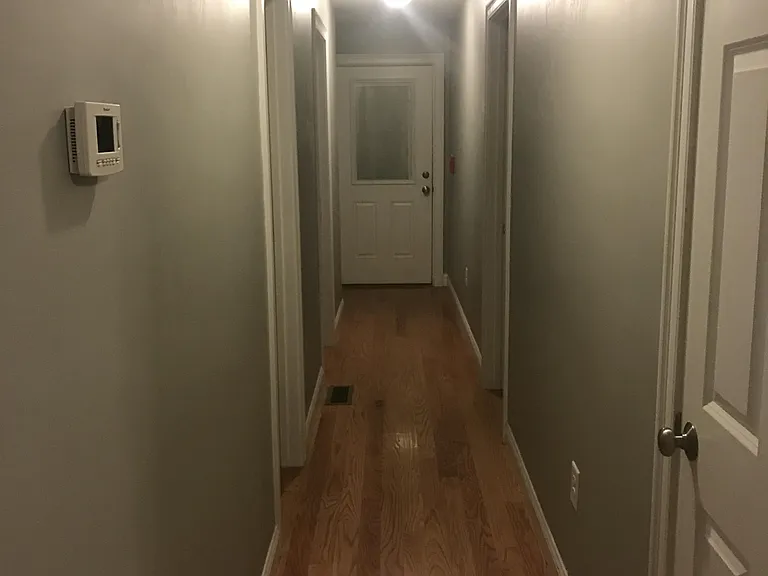 19-21 Calvin St #1 — Photo 16