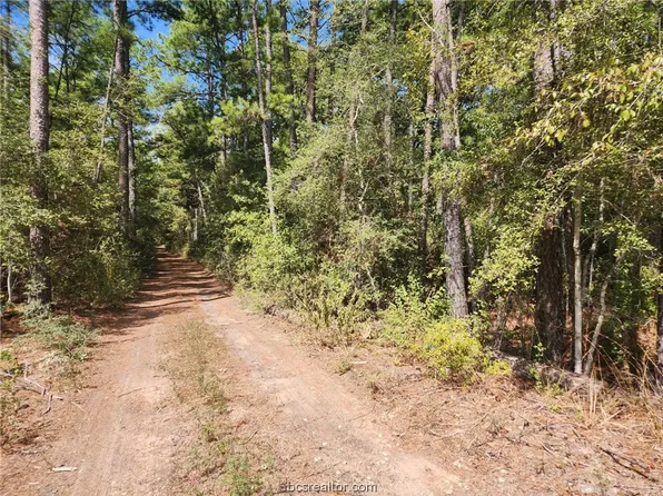 LOT 19 Hawthorne Ln, Plantersville, TX 77363