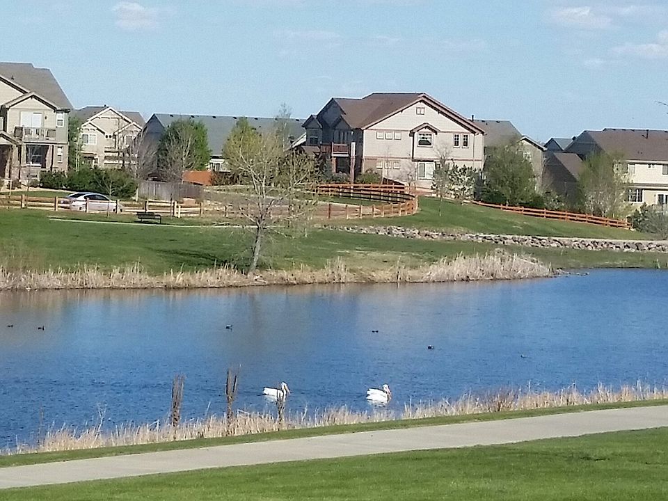 This home backs to beautiful Marshall Lake