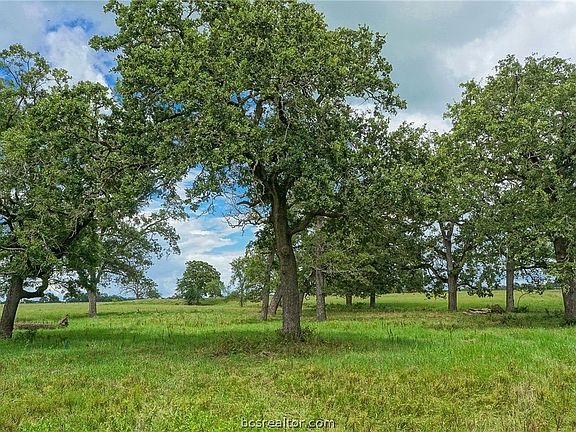 3rd image of 15.289 Acres Hwy #21