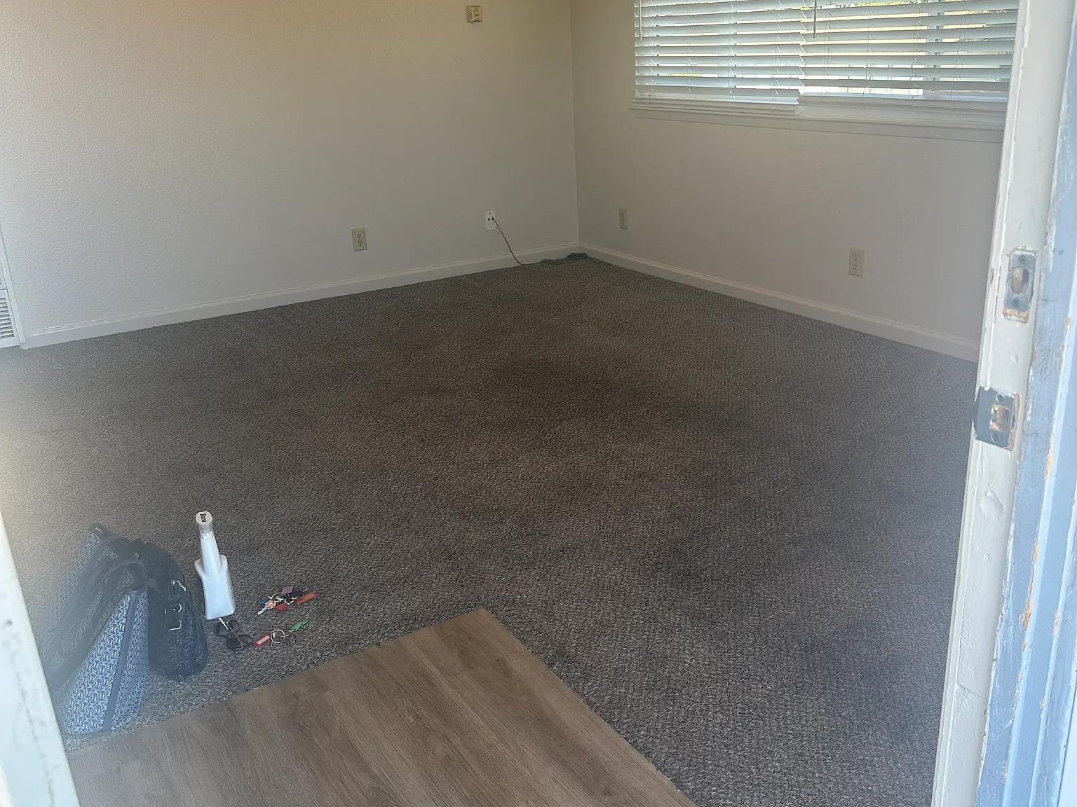 1 bed, 600 sqft, $1,695 — Photo 2