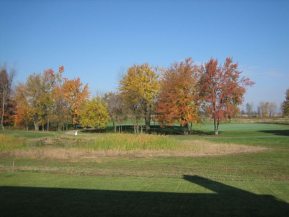View From Deck