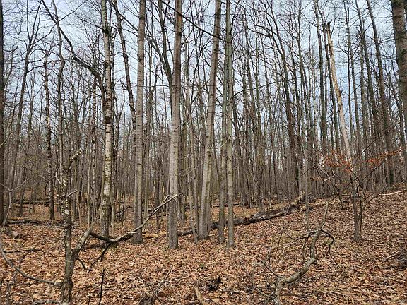 3rd image of LOT 662 Laurel Ln