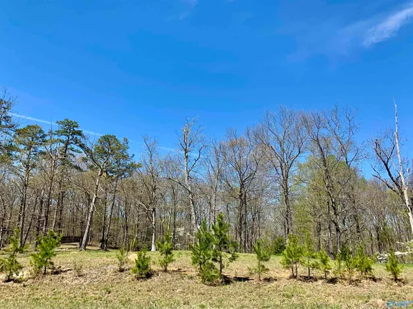 153 Ridgecreek Dr, Gurley, AL 35748