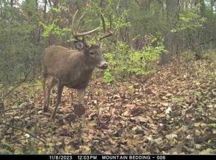 0 Knutson Rd, Bangor, WI 54614