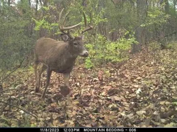 00 KNUTSON ROAD, Bangor, WI 54614