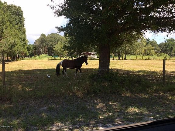 Horse 1