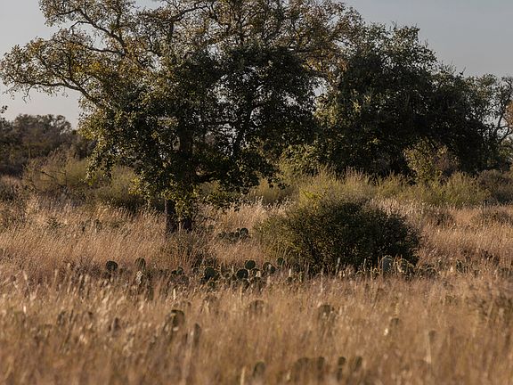 2nd image of TBD W RR 962 LOT 40