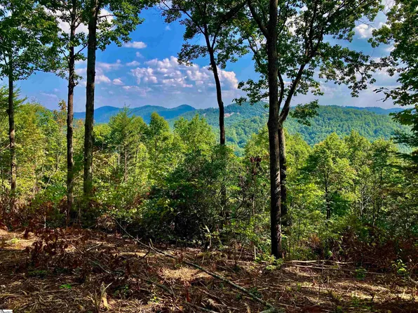 47 Mountain Oak Ln, Travelers Rest, SC 29690