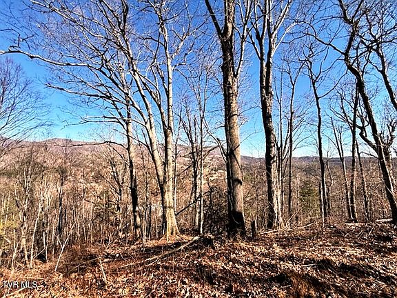 4th image of Tbd Vilas Overlook Dr