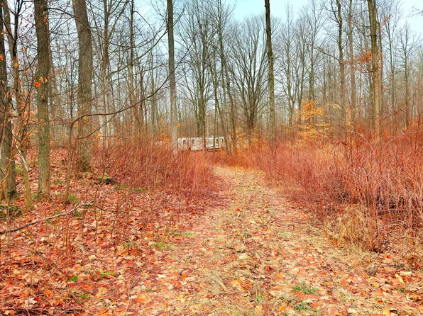 13578 Fifteen Mile Rd, Leroy, MI 49655