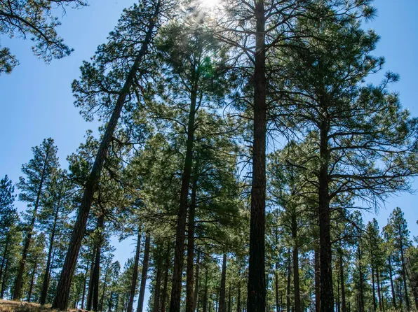 7800 Forest Service 122 Rd Tract 9B, Happy Jack, AZ 86024