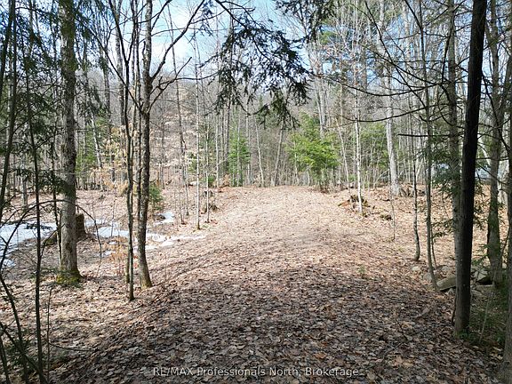 2nd image of 1231 Big Hawk Lake Rd