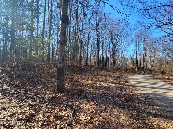 9463 W Wild Ridge Rd Lot 141 & 142, Mears, MI 49436