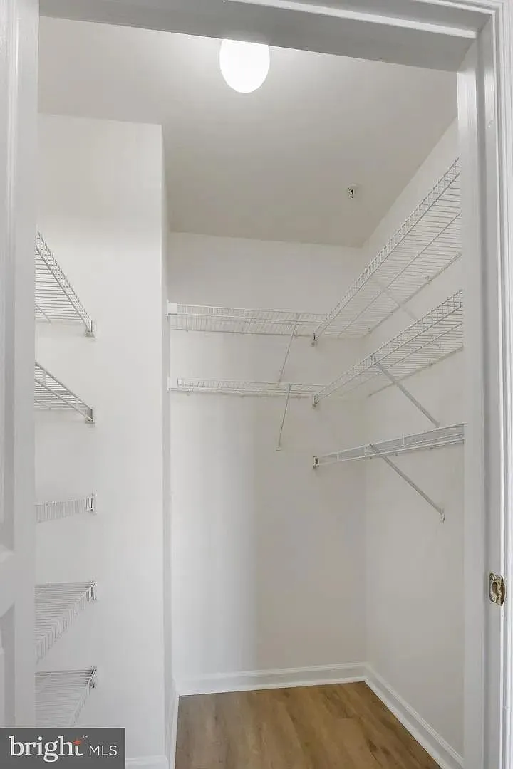 1 bed, 735 sqft, $1,900 — Photo 2