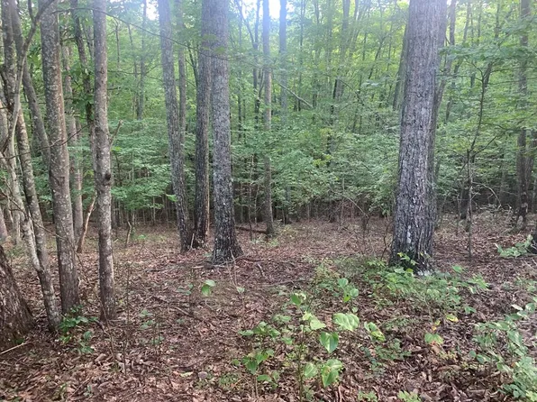 0 Jaguar Trl, Spencer, TN 38585