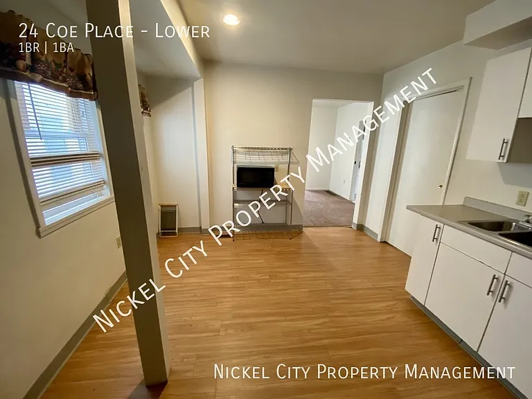 24 Coe Pl #LOWER — Photo 9