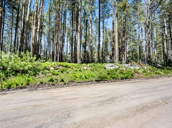 22010 Lotta Crabtree Ter, Soda Springs, CA 95728