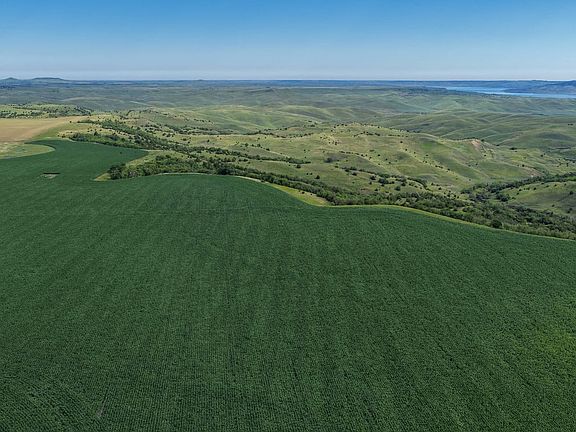Dji Fly 20260710 090118 0089 1783781924150 Photo