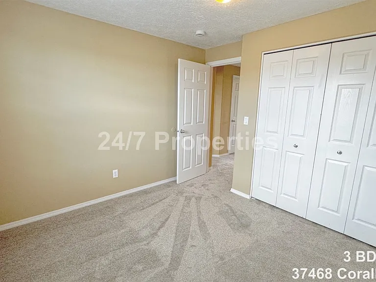 37468 Coralburst St — Photo 9