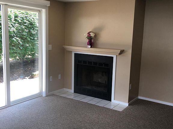 Fireplace and slider view