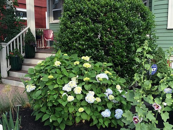 5th image of 232-234 Harvard St #2