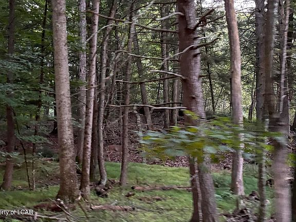 5th image of 39-40 Moon Lake Rd