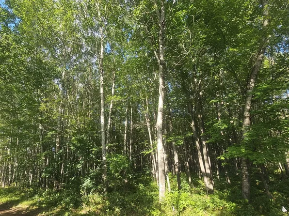 4 Ken Can Ln, Webster, WI 54893